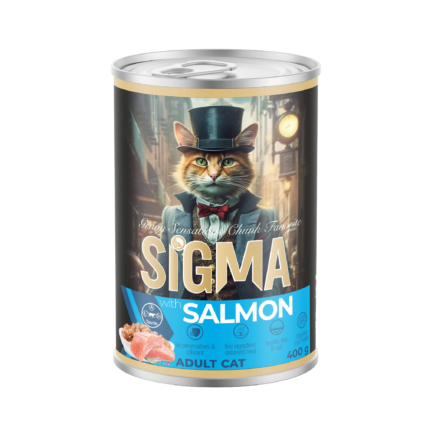 Sigma adult wet cat food Salmon chunks in gravy 400g